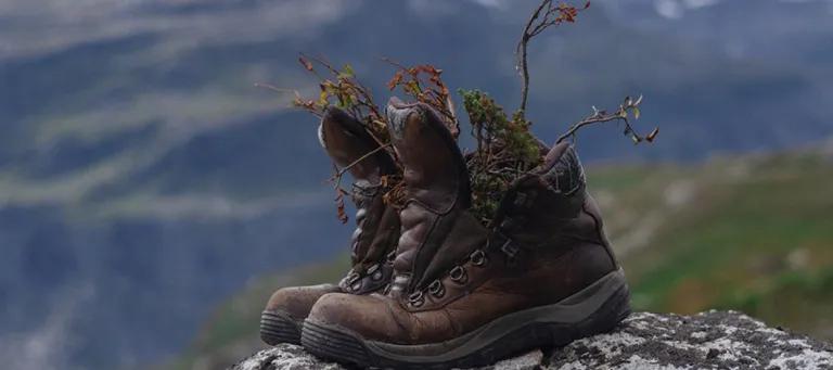 Hiking boots
