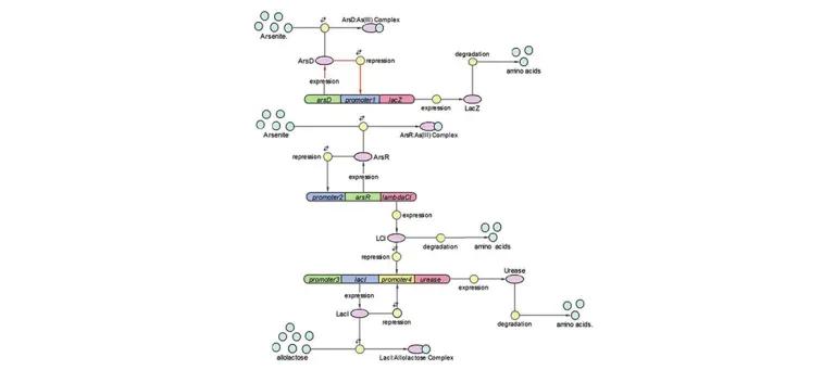 Diagram for Aleksic et al (2007) - see text for article link.