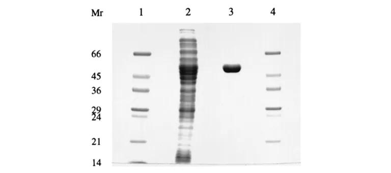 Diagram for Boonstra et al (1999) - see text for article link.