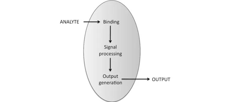 Diagram for French et al (2015) - see text for article link.