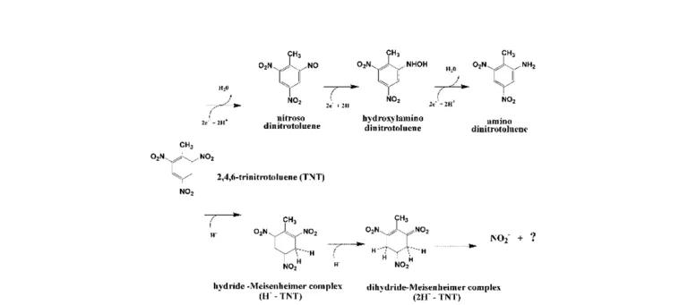 Diagram for Hannink et al (2003) - see text for article link.