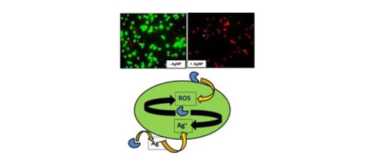 Diagram for Joshi et al (2015) - see text for article link.