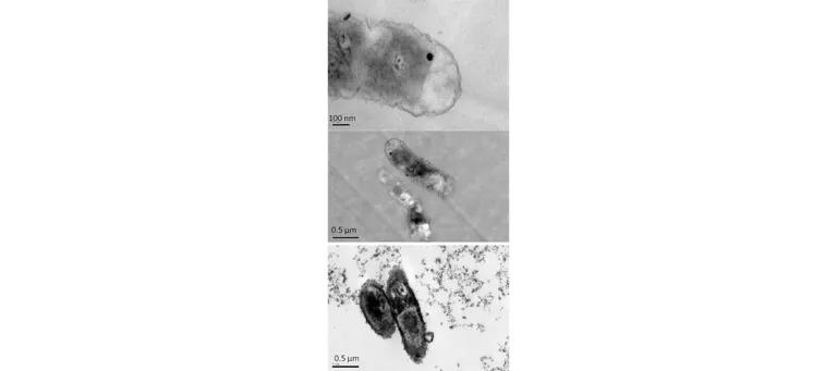 Diagram for Joshi et al (2012) - see text for article link.