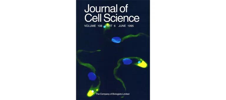 Cover of Journal of Cell Science, Volume 108, Part 6, June 1995.