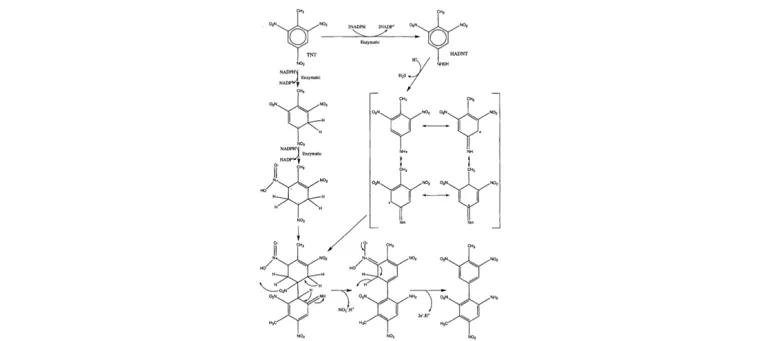 Diagram for Rosser et al (2001) - see text for article link.