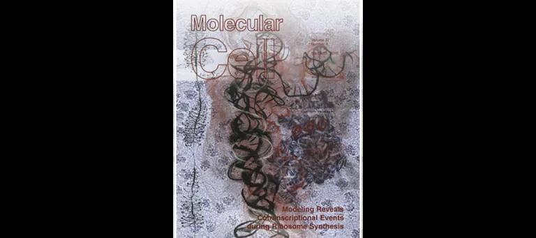 Molecular cell cover featuring Tollervey lab research