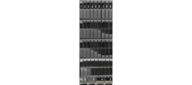 Diagram for Schwarz-Linek et al (2010) - see text for article link.