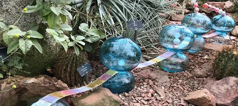 Photo of glass orbs representing cells amongst plants