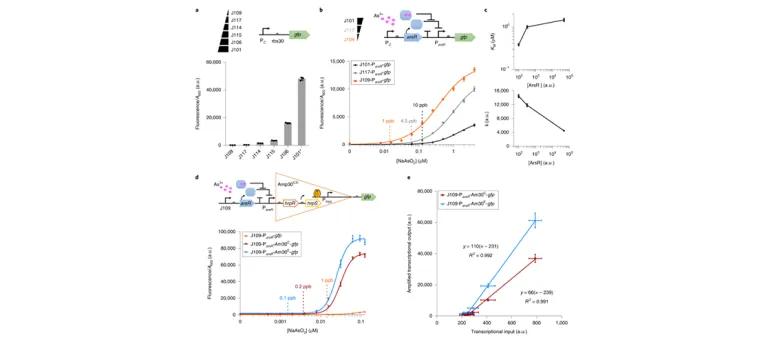 Diagram for Wan et al (2019) - see text for article link.