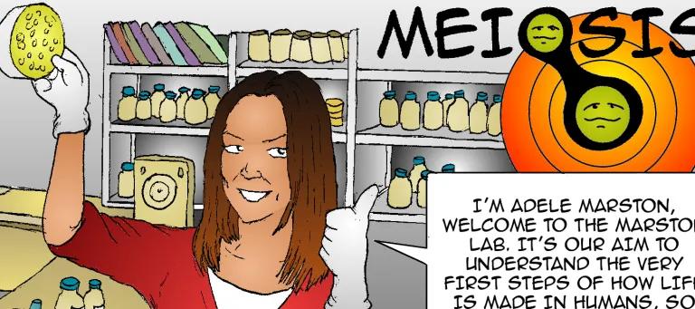 Marston Lab comic strip excerpt - see Our Engagement for comic transcript.