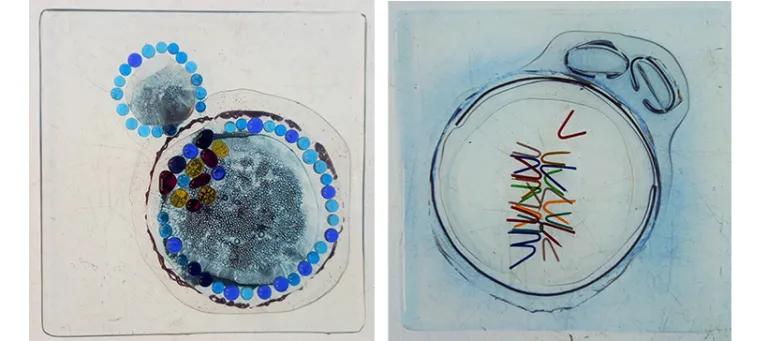 Collage of two tile artworks.