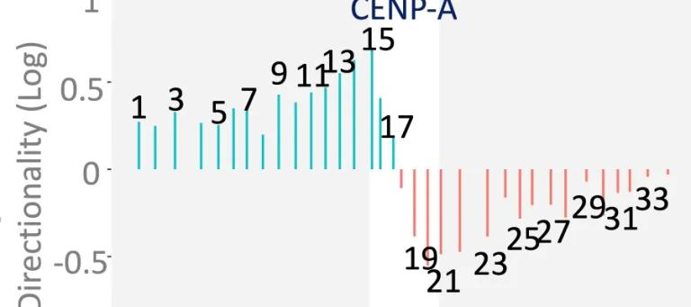 line graph