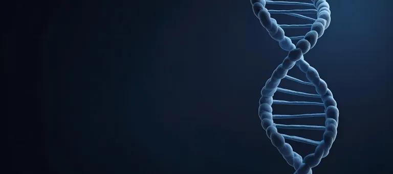 DNA helix