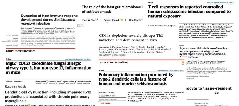 A collage of papers.