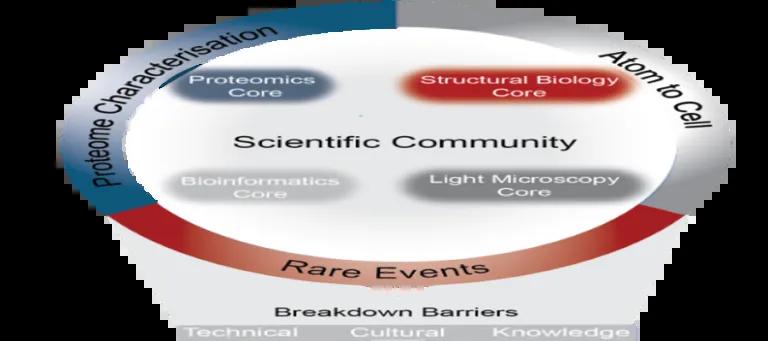 summary diagram of the 4 DRP cores