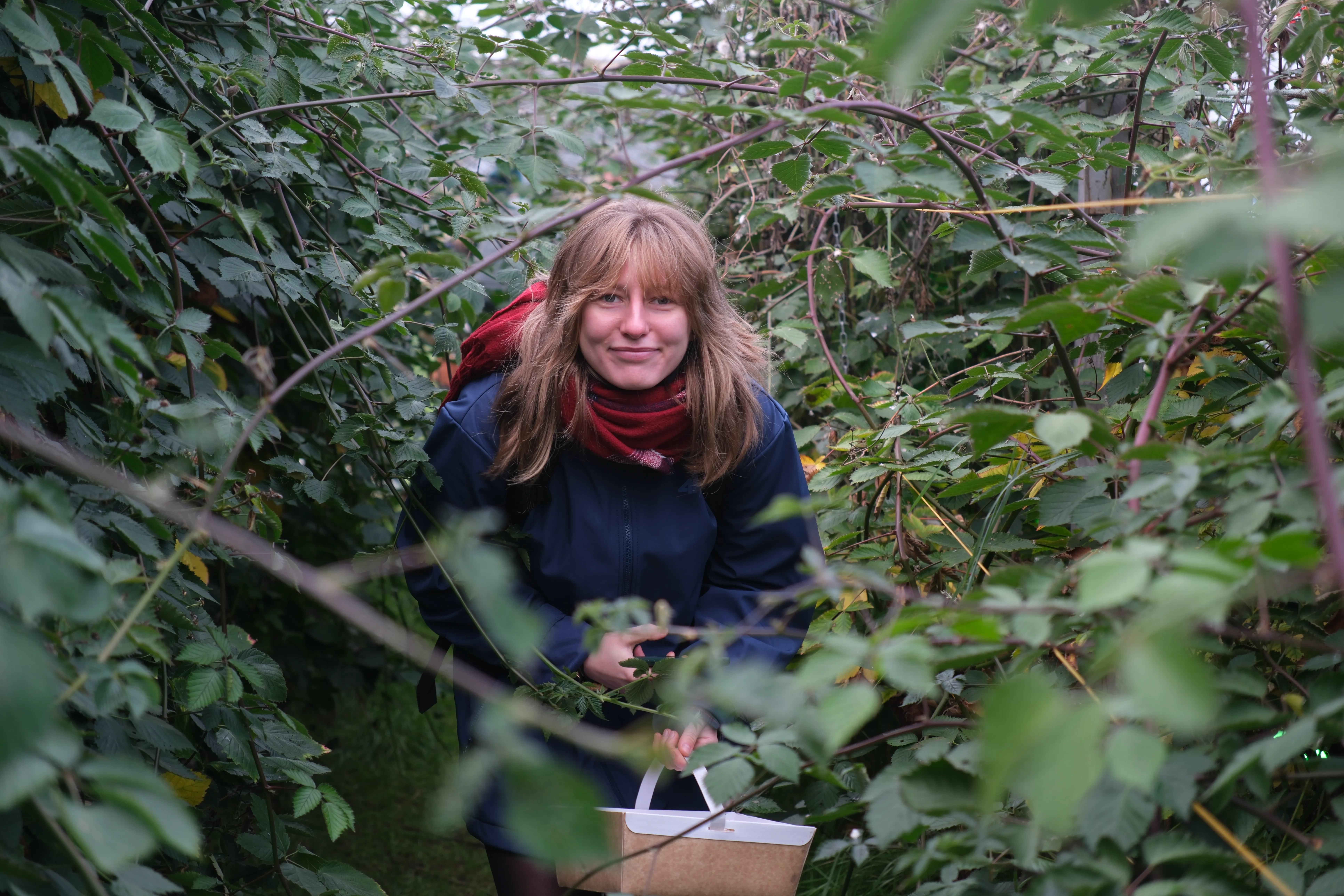 Image of Marta surrounded by hedges