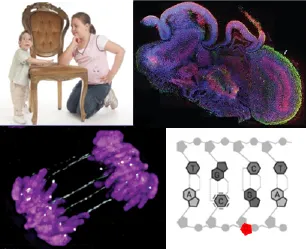 montage of images related to development