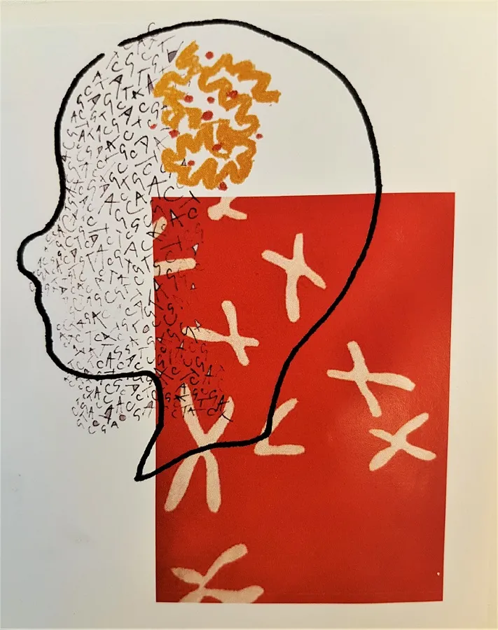 Edinburgh College of Art students representation of a genetic mutation affecting the chance of a child getting malaria