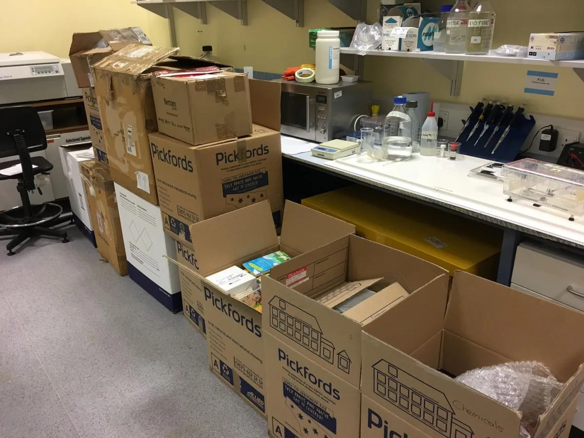 Photo of 12 large boxes in Edinburgh office.