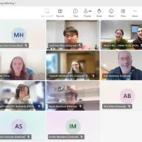 Screenshot of online meeting