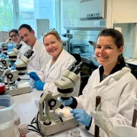 Photo of 3 group members working in the lab with microscopes, wearing lab coats and blue gloves