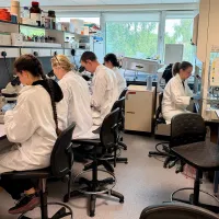 Photo of several group members backs to the camera,, working a lab with microscopes wearing lab coats and blue gloves