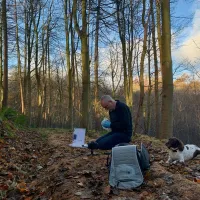 Photo of a fieldworker sitting working in a clearing in a wooded area, a brown and white spaniel sitting nearby