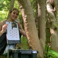 Photo of a fieldworker crouched under a tree in a wooded area, holding a clipboard with red dots on it 