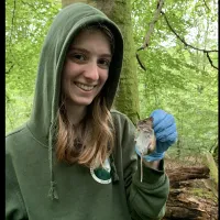 Photo of a fieldworker wearing a green hoodie and blue gloves holding up a fieldmouse for the camera