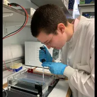 Photo of a research group member in the lab, wearing a white coat and blue gloves, using a pippet