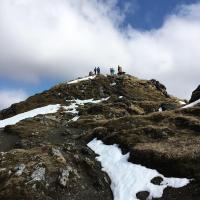 EASTBIO firbush 3