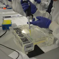 Student loading a gel