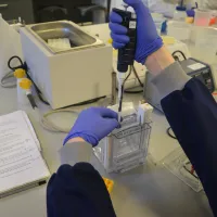 Demonstrator in a practical