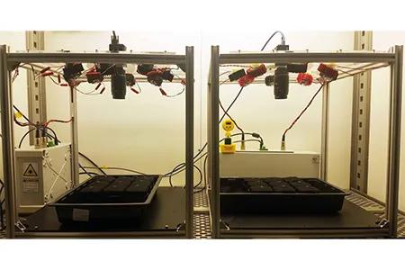 McCormick-Photometric-Arabidopsis