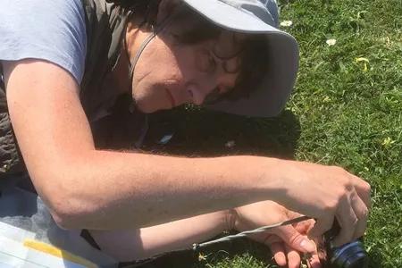 Richard Milne taking a photo of a wild plant