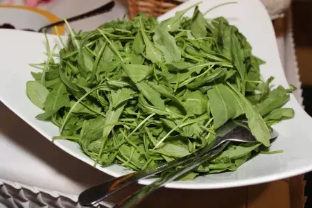 Rocket salad