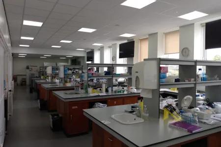 Image of Peter Wilson Lab G.128