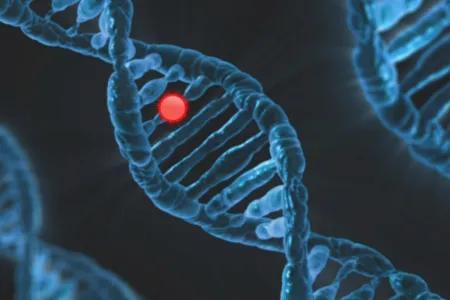 DNA helix
