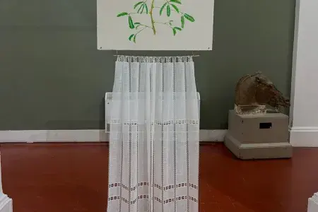 Irene’s artwork at Edinburgh College of Art