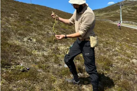 Diego Sanchez Ganfornina collecting land lycophytes