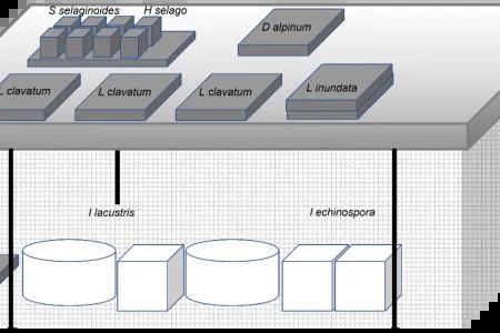 diagram shows the setup to grow all the different species