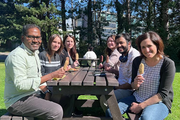 Six group members sit at a picnic bench eating ice creams.