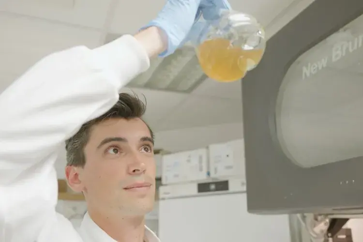A fermentation process, similar to the one used in brewing beer, to accelerate the conversion from plastic waste into paracetamol