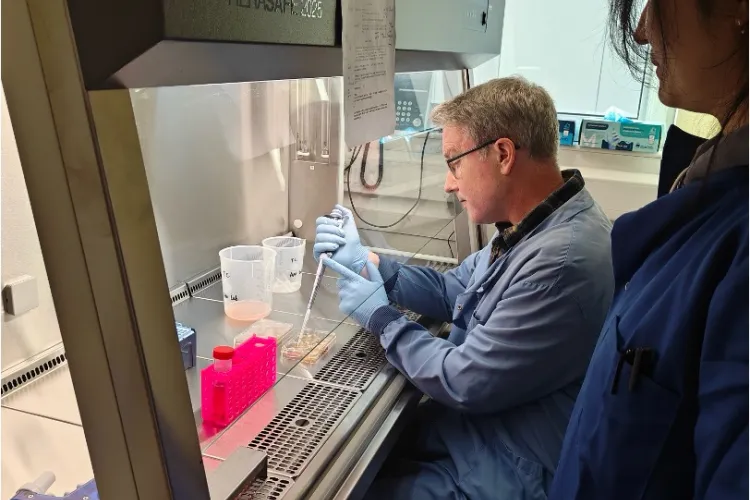 Two people in lab coats working together in a laboratory.