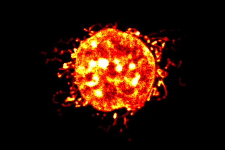 The nucleus and mitochondria of a cell false-coloured to look like the sun