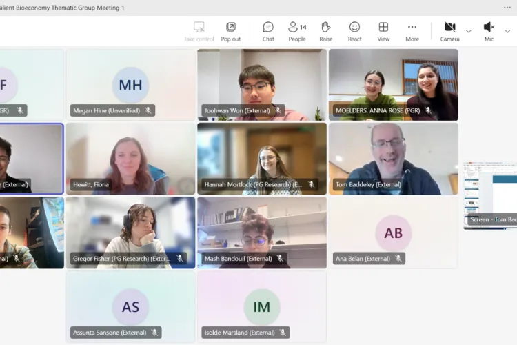 Screenshot of online meeting