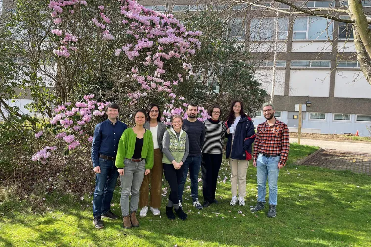 Eight people stand in front of tall bushes on a sunny day