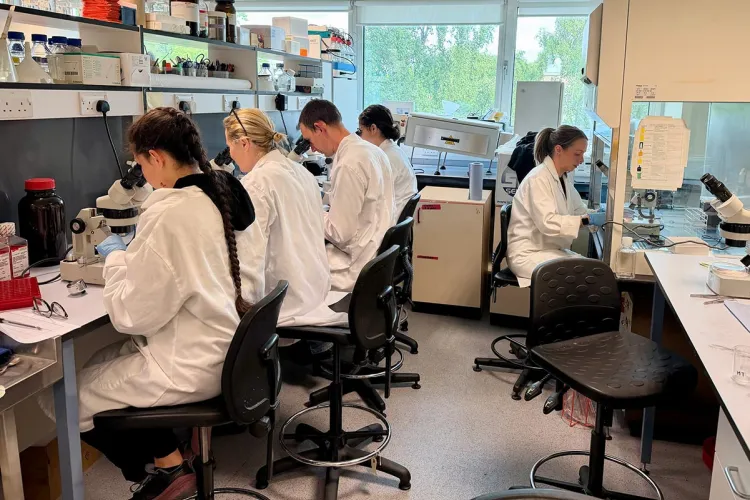Photo of several group members backs to the camera,, working a lab with microscopes wearing lab coats and blue gloves