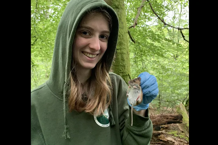 Photo of a fieldworker wearing a green hoodie and blue gloves holding up a fieldmouse for the camera
