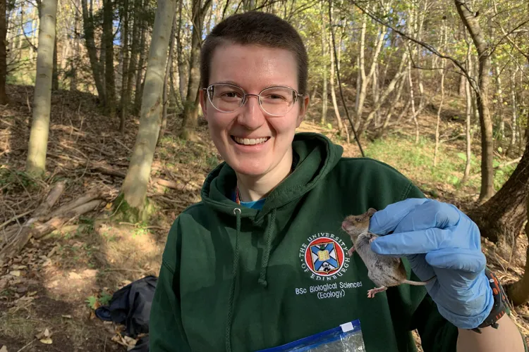 Photo of a fieldworker wearing a green hoodie and blue gloves holding up a fieldmouse for the camera